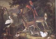 Jakob Bogdani Birds and deer in a Garden (mk25) oil painting artist